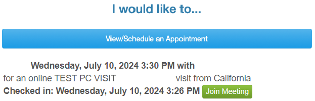 check in process example. Blue button that says "View/Schedule an appointment" then the second example says "join meeting" with a green button to click