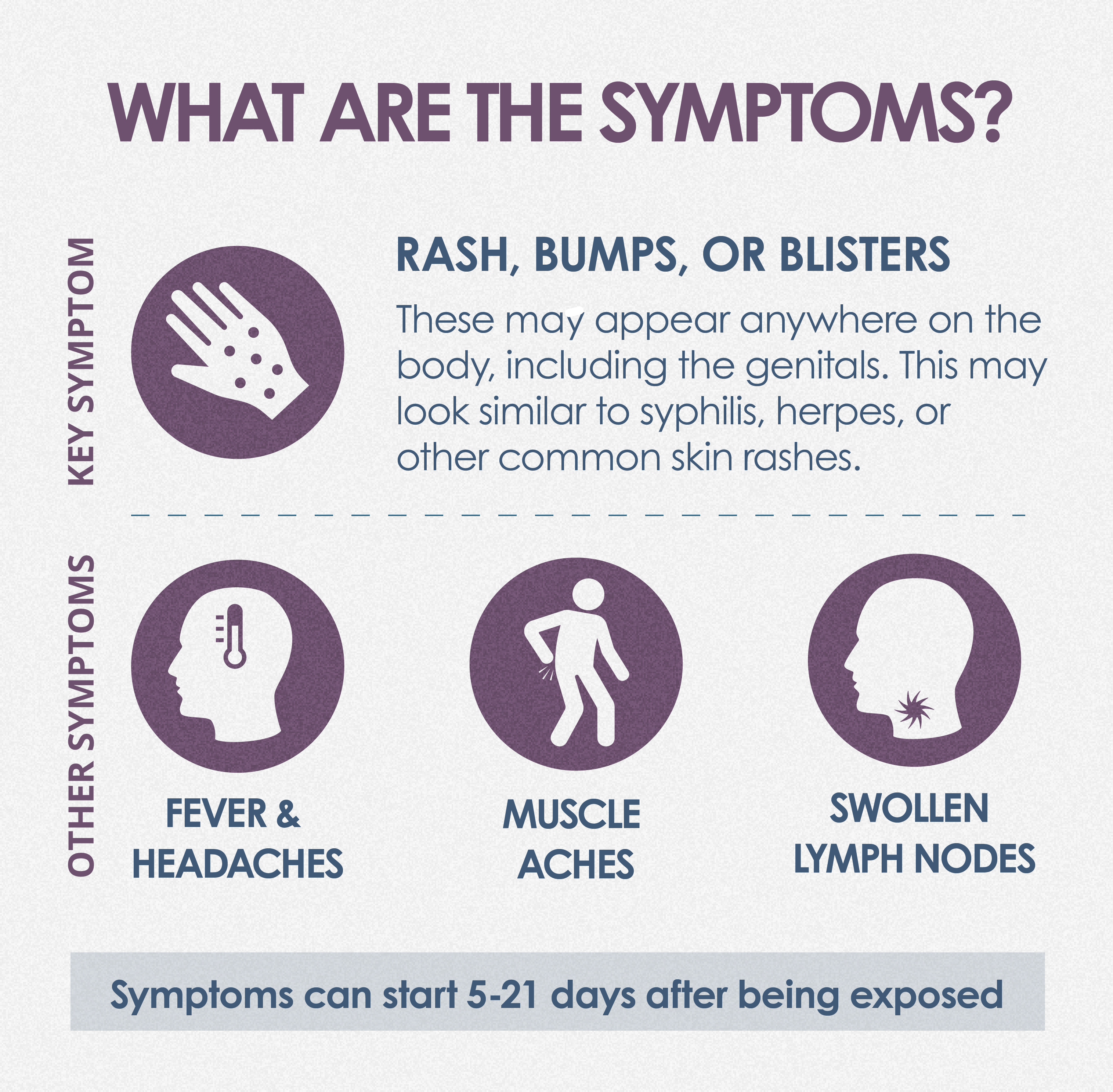 What are the symptoms? Infographic showing rash, bumps, blisters, fever, headache, muscle ache and swollen lymph node icons 
