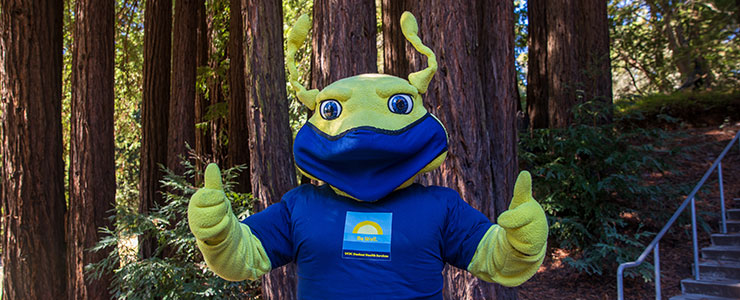 Sammy the Slug in front of some redwood trees. He's wearing a mask and giving the thumbs-up sign; positive energy